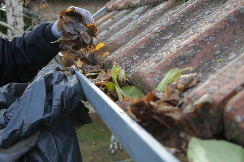 Gutter maintenance in Prince Georges County