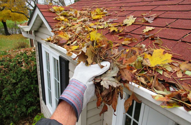Best time to hire for gutter service