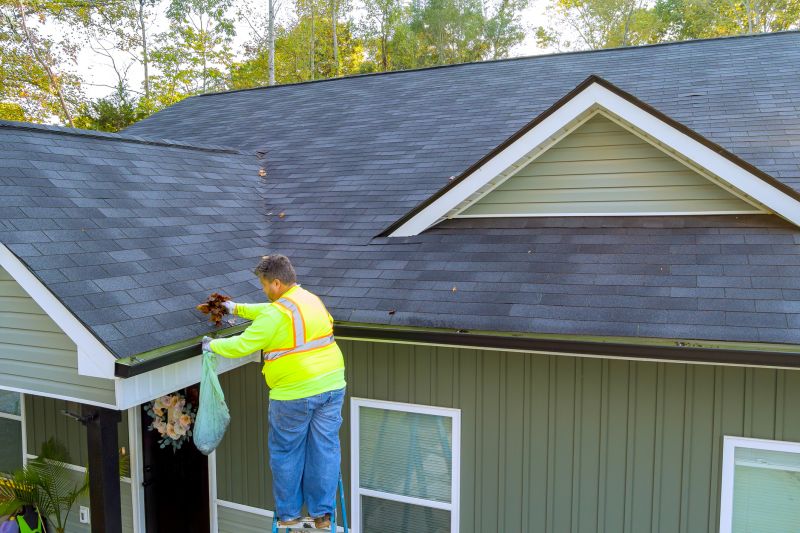 Professional gutter cleaning in Prince Georges County